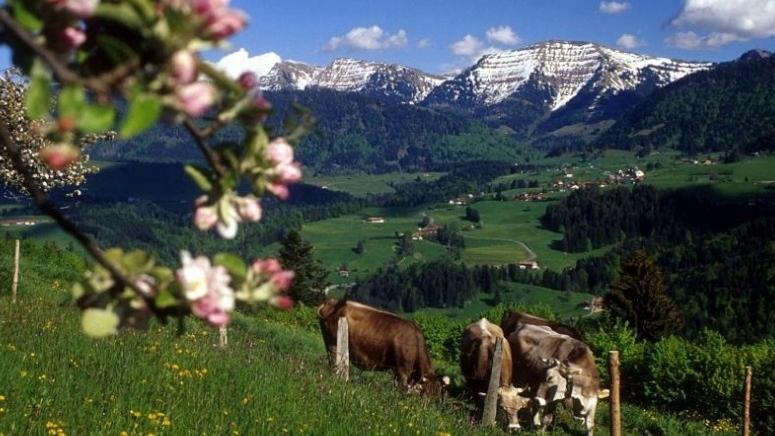 Fewo Alpenbrise, Oberstaufen Εξωτερικό φωτογραφία